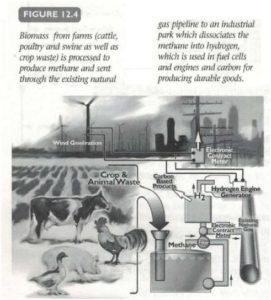shc_11_biomass