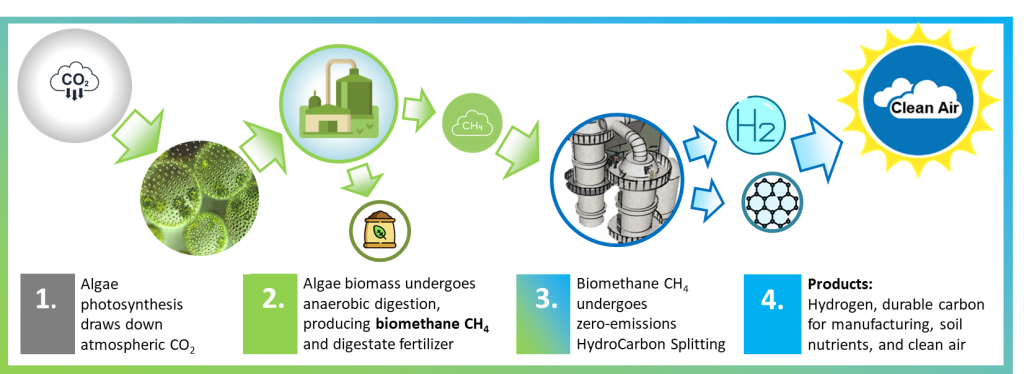 Algae-biomass